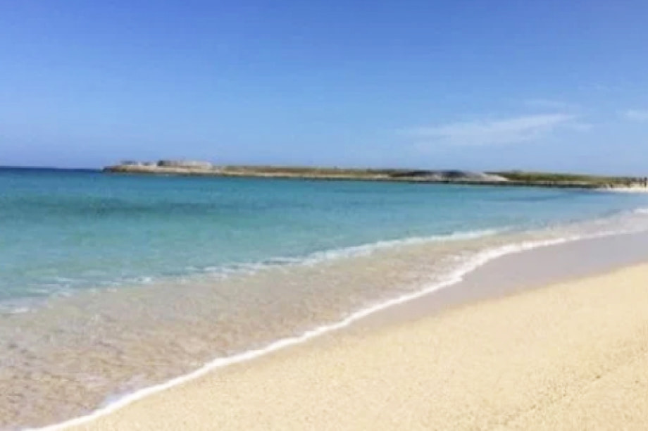 環境保全に関する事業