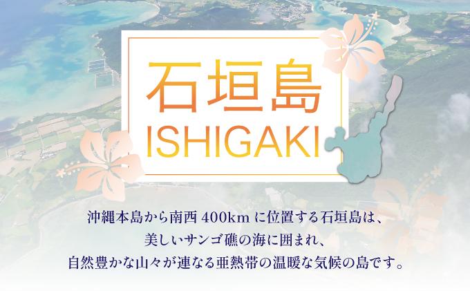 石垣パッケージ旅行補助券(15,000円分) OTI-05