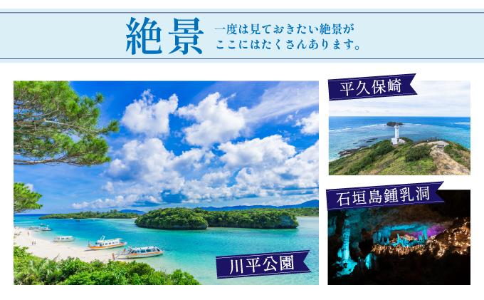 石垣パッケージ旅行補助券(15,000円分) OTI-05