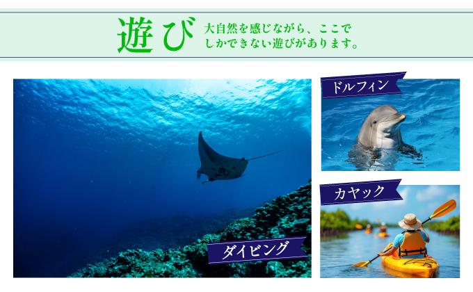 石垣パッケージ旅行補助券(15,000円分) OTI-05