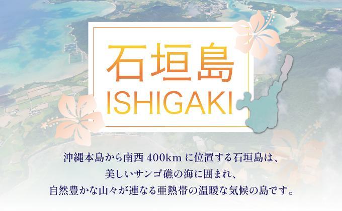 石垣パッケージ旅行補助券(30,000円分) OTI-01