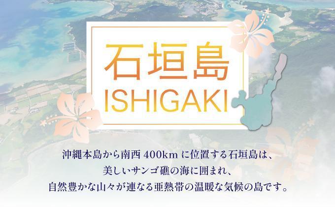 石垣パッケージ旅行補助券(90,000円分) OTI-02