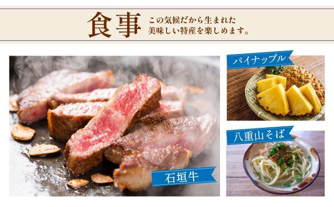 石垣パッケージ旅行補助券(90,000円分) OTI-02