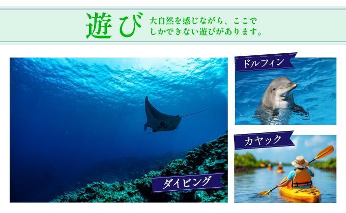 石垣パッケージ旅行補助券(90,000円分) OTI-02