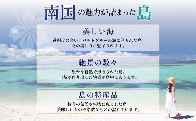 石垣パッケージ旅行補助券(150,000円分) OTI-03