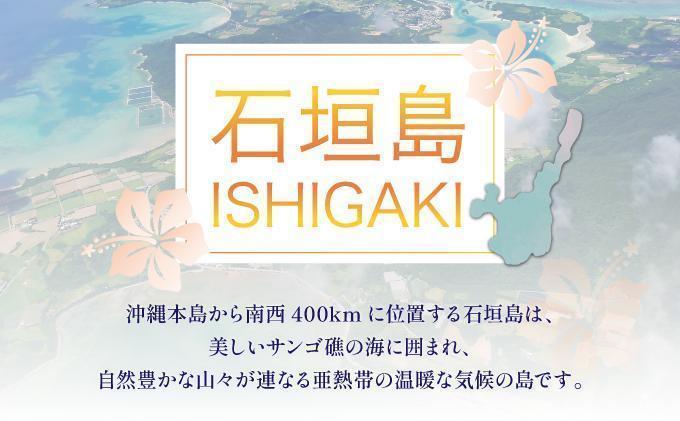 石垣パッケージ旅行補助券(300,000円分) OTI-04
