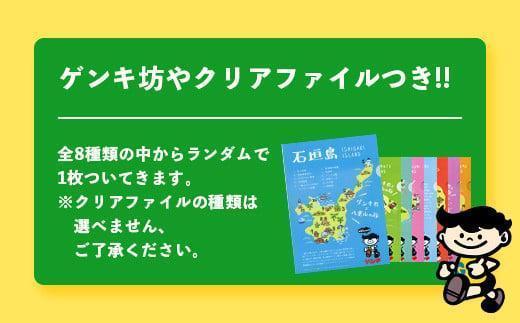 【ふるさと納税限定】【定期便_6回】ゲンキクールバリューセット【八重山ゲンキ乳業】【石垣島のソウルドリンク ゲンキクール】GN-1_6t
