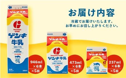 【ふるさと納税限定】【定期便_5回】ゲンキ牛乳バリューセット【八重山ゲンキ乳業】【日本最南端の乳業】【伊盛牧場産 生乳100％使用】GN-3_5t