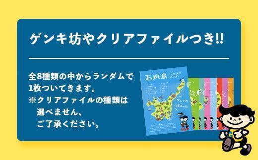 【ふるさと納税限定】【定期便_6回】ゲンキ牛乳バリューセット【八重山ゲンキ乳業】【日本最南端の乳業】【伊盛牧場産 生乳100％使用】GN-3_6t