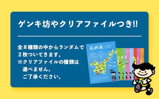【ふるさと納税限定】【定期便_2回】八重山ゲンキ乳業 全種バリューセット【八重山ゲンキ乳業】【ゲンキ牛乳】【石垣島のソウルドリンク ゲンキクール】【ゲンキカフェ】【さんぴん茶ミルクティー】GN-4_2t