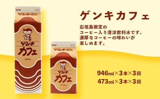 【ふるさと納税限定】【定期便_3回】八重山ゲンキ乳業 全種バリューセット【八重山ゲンキ乳業】【ゲンキ牛乳】【石垣島のソウルドリンク ゲンキクール】【ゲンキカフェ】【さんぴん茶ミルクティー】GN-4_3t