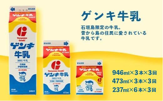 【ふるさと納税限定】【定期便_3回】八重山ゲンキ乳業 全種バリューセット【八重山ゲンキ乳業】【ゲンキ牛乳】【石垣島のソウルドリンク ゲンキクール】【ゲンキカフェ】【さんぴん茶ミルクティー】GN-4_3t