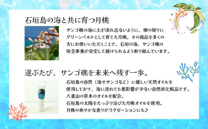 幞ïŒçŸåœ©ïŒãã¡ã¡ã
ããã å³¶ã®æ¥çŒãæ¢ãïŒ30gïŒOA-03