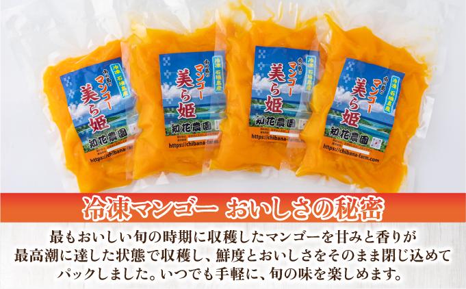 冷凍美ら姫マンゴー 1kg（500g×2袋）CB-3