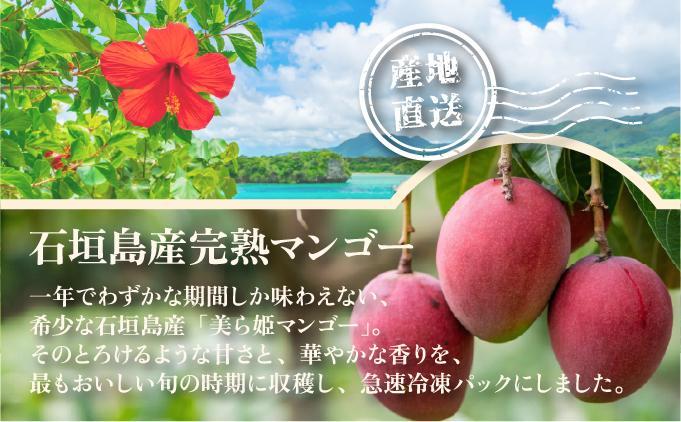 冷凍美ら姫マンゴー 2kg（500g×4袋）CB-4