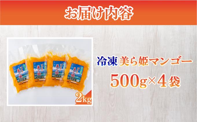 冷凍美ら姫マンゴー 2kg（500g×4袋）CB-4