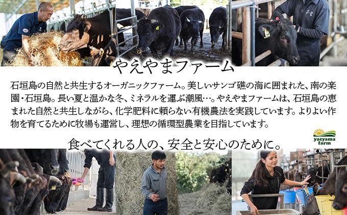 遏ウ蝙」蟲カ逕」邨檎肇鮟呈ッ帛柱迚 1鬆ュ蛻繧願誠縺ィ縺 500g E-052