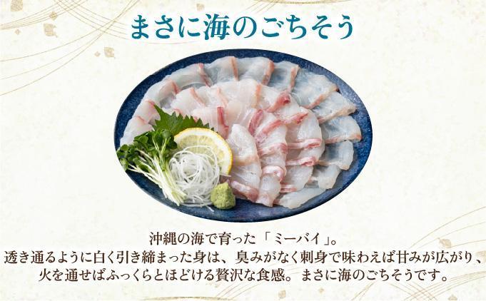 石垣島 ハタ ハーフフィーレ | 勝水産 ミーバイ ヤイトハタ 沖縄県石垣市 石垣 沖縄 石垣市 石垣島 KS-15