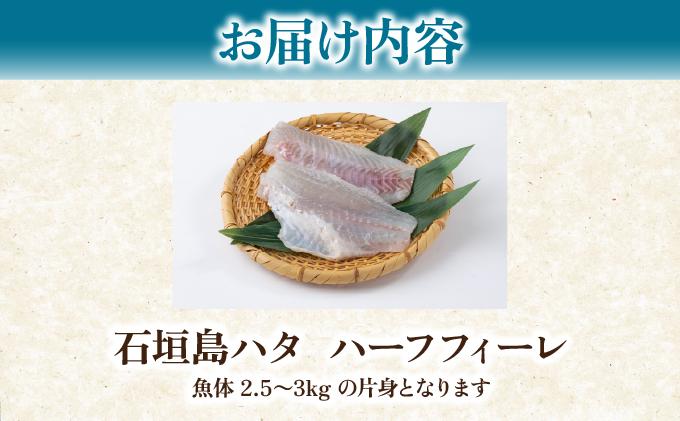 石垣島 ハタ ハーフフィーレ | 勝水産 ミーバイ ヤイトハタ 沖縄県石垣市 石垣 沖縄 石垣市 石垣島 KS-15