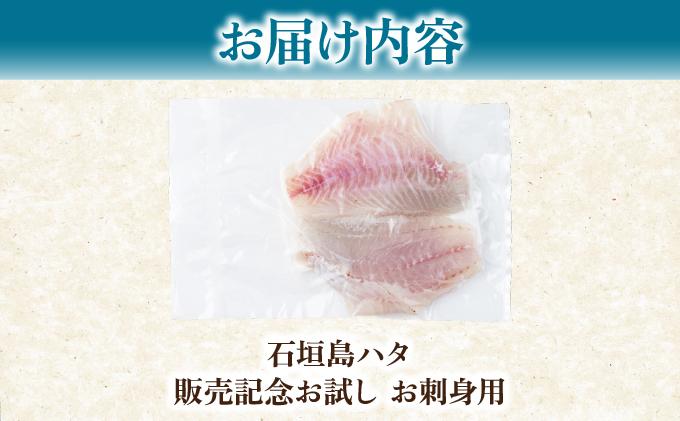 石垣島 ハタ 販売記念お試しお刺身用 | 勝水産 ミーバイ ヤイトハタ 沖縄県石垣市 石垣 沖縄 石垣市 石垣島 KS-16