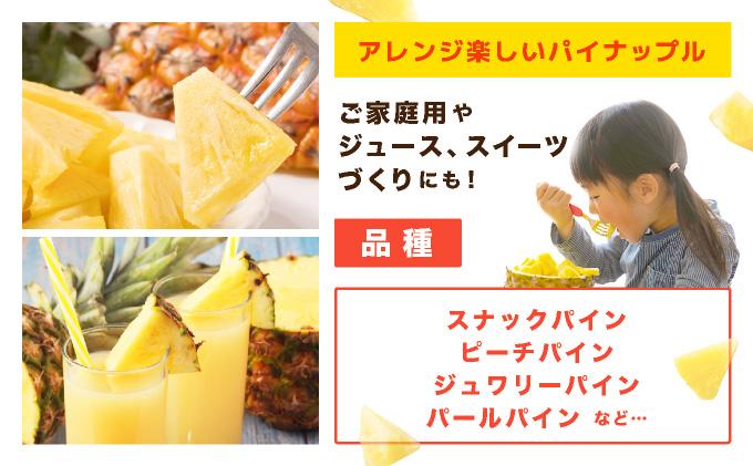 【2026年7月以降順次発送】川平パイン お徳用訳あり4kg ( 品種・玉数・サイズお任せ ) KN-6