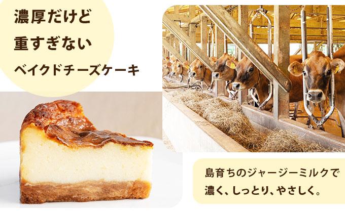 ãžã£ãŒãžãŒãã«ã¯ã®ãã€ã¯ãããŒãºã±ãŒã ãç³å£å³¶ ãŸããã
ãã®ãžã£ãŒãžãŒç§å Žã F-4