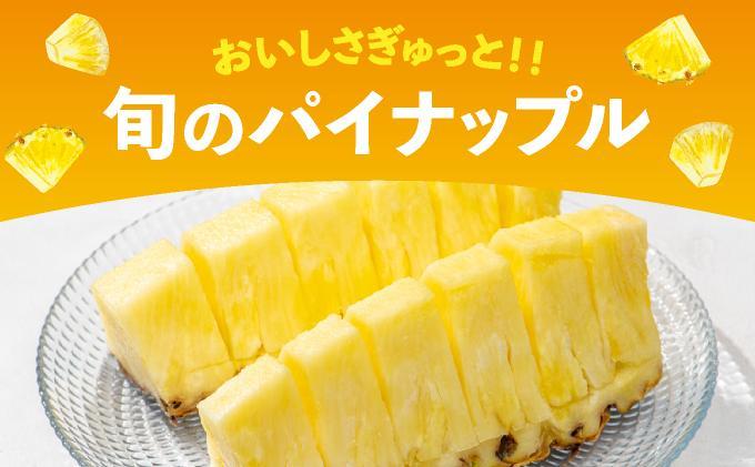 【訳あり】 石垣島産 パイナップル 詰め合わせ 約8kg (6～20個)《2026年4月下旬から発送》 | ふるさと納税 パイナップル 産地直送 フルーツ 果物 パイン 石垣 沖縄 沖縄県石垣市 石垣島 KP-16