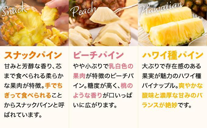 【訳あり】 石垣島産 パイナップル 詰め合わせ 約8kg (6～20個)《2026年4月下旬から発送》 | ふるさと納税 パイナップル 産地直送 フルーツ 果物 パイン 石垣 沖縄 沖縄県石垣市 石垣島 KP-16