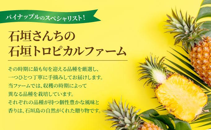 ïŒæééå® æ¥ãã§ã¢ïŒ ãèš³ããã ç³å£ããã¡ã®ãããããã€ã³è©°ãåãã 8ïœ10ç (çŽ5kg)ã2026幎4æäžæ¬ããé æ¬¡çºéã TP-21