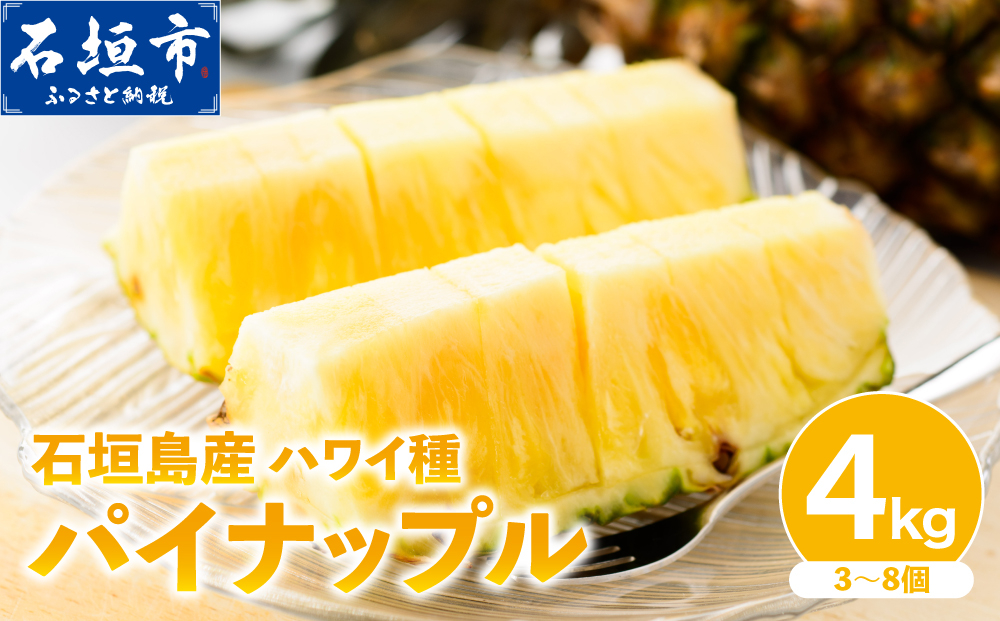 【2026年6月以降発送】訳あり 石垣島産 ハワイ種パイナップル 約4kg（3～8個）KP-02 | ふるさと納税 パイナップル 産地直送 フルーツ 果物 パイン 石垣 沖縄 沖縄県石垣市 石垣島