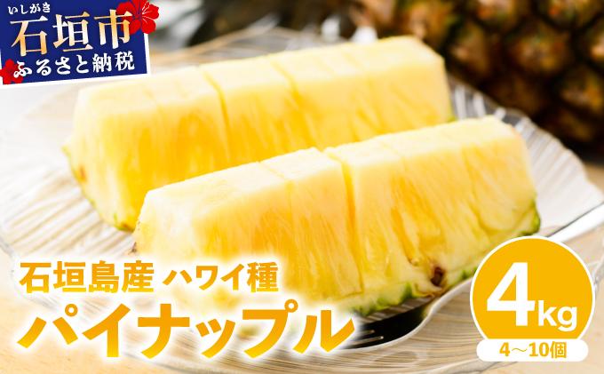【2026年4月中旬発送】訳あり 石垣島産 ハワイ種パイナップル 約4kg（4～10個）KP-02 | ふるさと納税 パイナップル 産地直送 フルーツ 果物 パイン 石垣 沖縄 沖縄県石垣市 石垣島