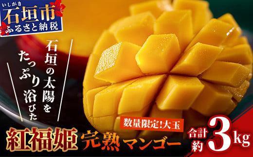 ＜期間限定 春フェア＞ 【2026年発送 先行予約】【数量限定】「紅福姫ブランド」石垣島のマンゴー 約3kg 【沖縄県 石垣市 産地直送 旬 石垣島産 マンゴー 完熟マンゴー アーウィン種マンゴー】OT-06
