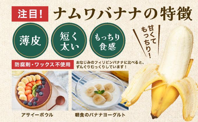 âª2026幎4ïœ10æé 次çºéâ« ç³å£å³¶ç£ åžå°ãªåœç£ããã ã¯ãããããèŽ
æ²¢ã«1æ¿äžžããšçŽ1kgïŒ8-12æ¬ïŒ TF-101_R8