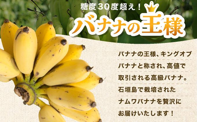 âª2026幎4ïœ10æé 次çºéâ« ç³å£å³¶ç£ åžå°ãªåœç£ããã ã¯ãããããèŽ
æ²¢ã«1æ¿äžžããšçŽ1kgïŒ8-12æ¬ïŒ TF-101_R8