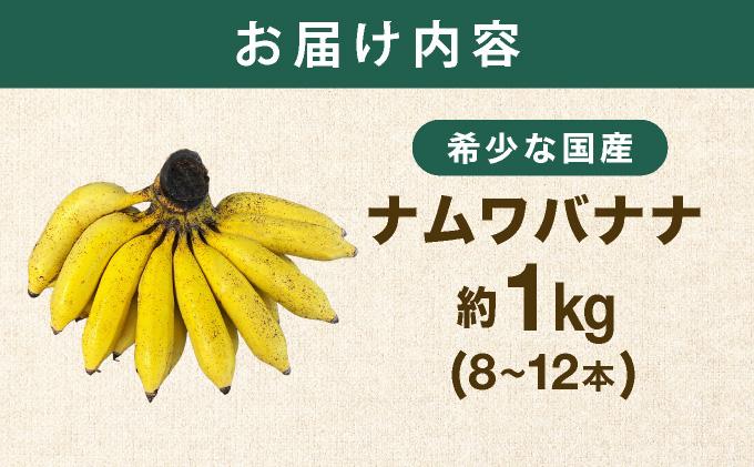 âª2026幎4ïœ10æé 次çºéâ« ç³å£å³¶ç£ åžå°ãªåœç£ããã ã¯ãããããèŽ
æ²¢ã«1æ¿äžžããšçŽ1kgïŒ8-12æ¬ïŒ TF-101_R8