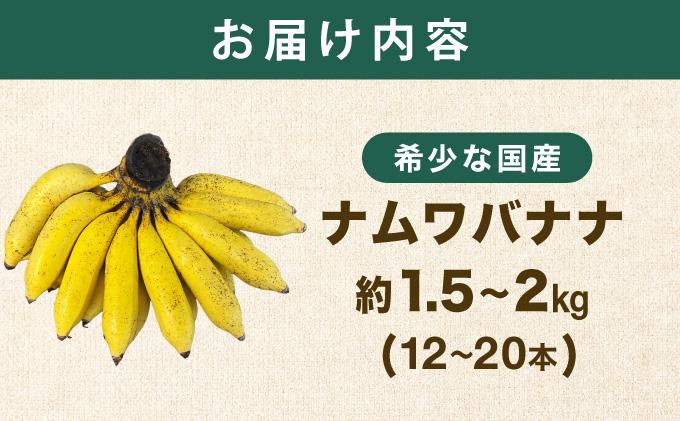 ≪2026年4～10月順次発送≫ 石垣島産 希少な国産『ナムワバナナ』を贅沢に1房丸ごと約1.5-2kg（12-20本） TF-102_R8
