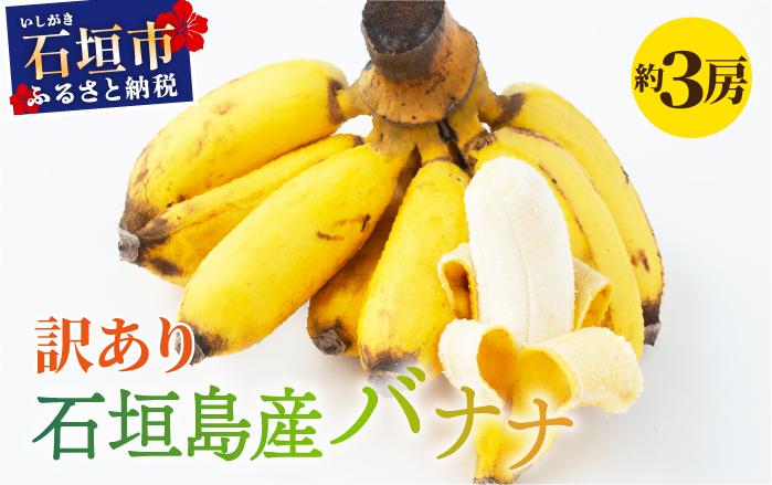 ＜訳あり＞ 大満足！石垣島産バナナ3房 ＜2026年6～10月発送＞ KP-022