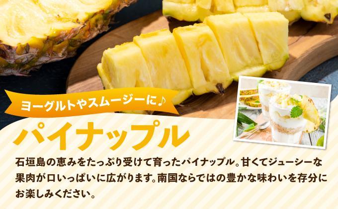 【2026年5月から発送 4回定期便】石垣島産パイナップル約2kg×3回・マンゴー約1kg×1回セット KP-20