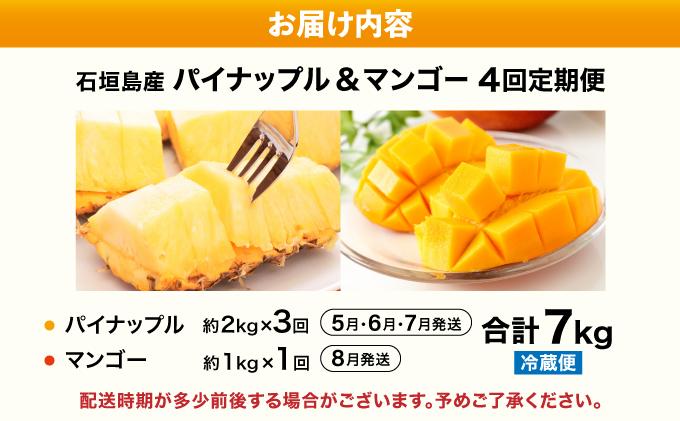 【2026年5月から発送 4回定期便】石垣島産パイナップル約2kg×3回・マンゴー約1kg×1回セット KP-20