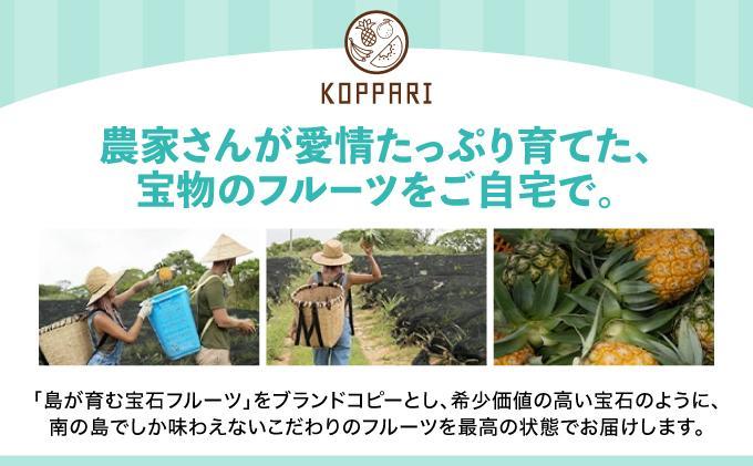 【2026年5月から発送 4回定期便】石垣島産パイナップル約2kg×3回・マンゴー約1kg×1回セット KP-20