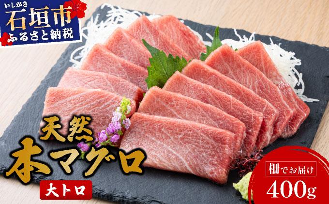 石垣島産 天然本マグロ 大トロ 約400g ヤエスイ マグロ船直送【順次発送】 | 産地直送 大トロ 大とろ 国産 まぐろ 鮪 天然 赤身 魚 お刺身 本まぐろ マグロ 沖縄県 沖縄 琉球 八重山 八重山諸島 石垣島 石垣 石垣島産