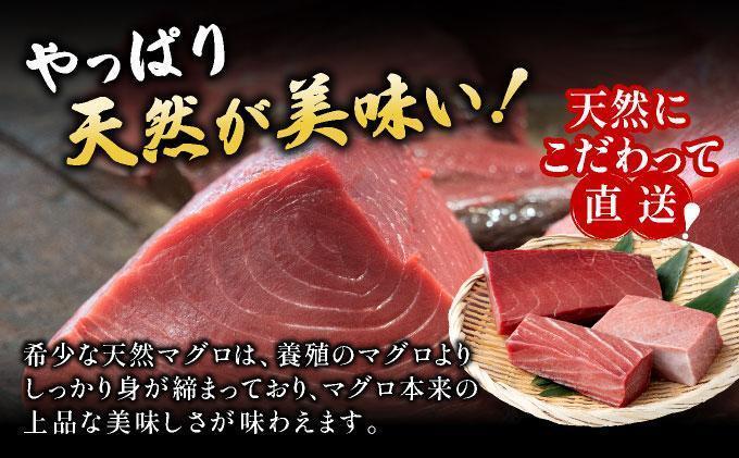 【数量限定】石垣島産 天然本マグロ 大トロ 約400g ヤエスイ マグロ船直送 ＜2025年6月下旬より発送＞ | 産地直送 大トロ 大とろ 国産 まぐろ 鮪 天然 赤身 魚 お刺身 本まぐろ マグロ 沖縄県 沖縄 琉球 八重山 八重山諸島 石垣島 石垣 石垣島産