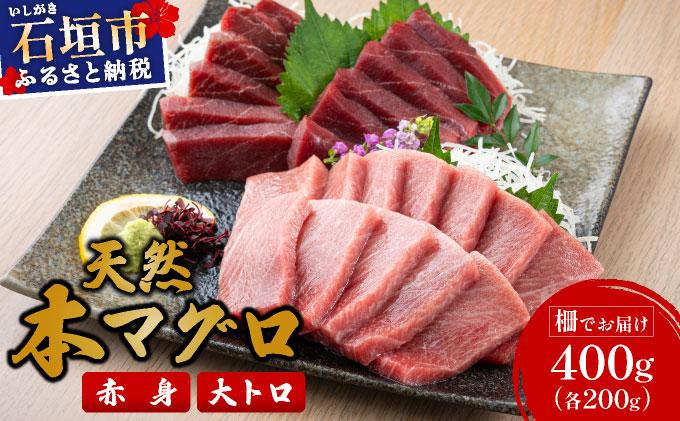 【数量限定】石垣島産 天然本マグロ 赤身 & 大トロ 約400g ヤエスイ マグロ船直送 ＜2025年6月下旬より発送＞ | 産地直送 大トロ 大とろ 国産 まぐろ 鮪 天然 赤身 魚 お刺身 本まぐろ マグロ 沖縄県 沖縄 琉球 八重山 八重山諸島 石垣島 石垣 石垣島産