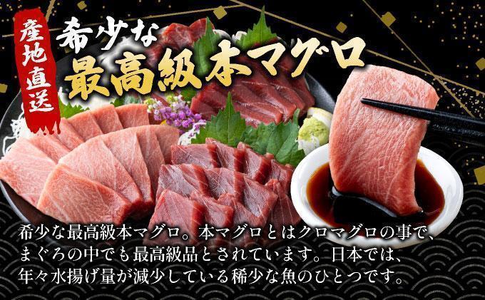 【数量限定】石垣島産 天然本マグロ 中トロ & 大トロ 約400g ヤエスイ マグロ船直送 ＜2025年6月下旬より発送＞ | 産地直送 大トロ 大とろ 中トロ 中とろ 国産 まぐろ 鮪 天然 赤身 魚 お刺身 本まぐろ マグロ 沖縄県 沖縄 琉球 八重山 八重山諸島 石垣島 石垣 石垣島産