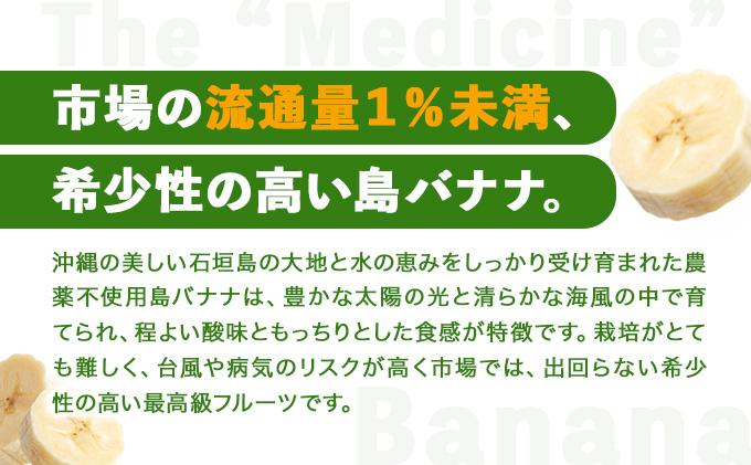 バナナの医学 石垣島産 島バナナ 約1kg 農薬不使用 | バナナ 石垣 沖縄 1kg 無農薬 DF-001