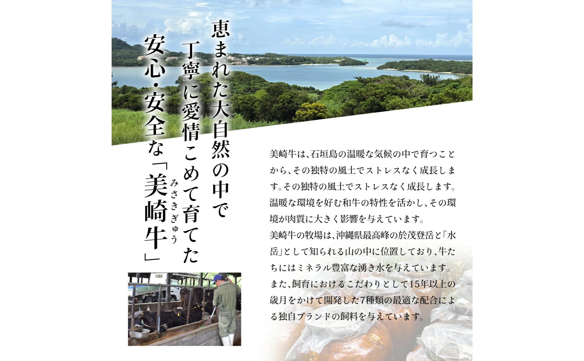 美崎牛 特選上ロース 300g | 王道にして至高の味わい 牛肉 和牛 黒毛和牛 沖縄 石垣 A5 オーガニック 幻の和牛 ロース