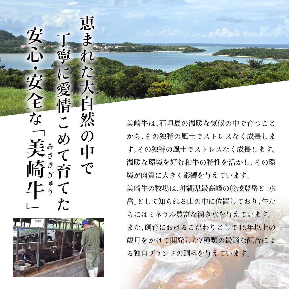 石垣島の恵み！美崎牛 厳選5種 焼肉食べ比べセット【粋 -すい-】 | 牛肉 セット 和牛 黒毛和牛 沖縄 石垣 A5 オーガニック 幻の和牛 ギフト