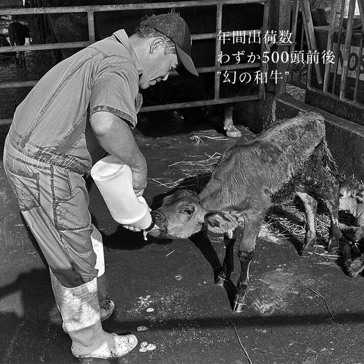 石垣島の恵み！美崎牛 厳選5種 焼肉食べ比べセット【粋 -すい-】 | 牛肉 セット 和牛 黒毛和牛 沖縄 石垣 A5 オーガニック 幻の和牛 ギフト