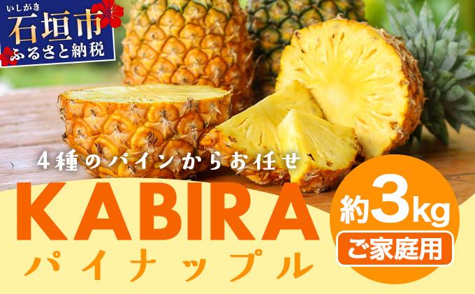 KABIRA パイナップル 訳あり ご家庭用 約3kg 4種のパインからお任せ ＜2026年6月から発送＞ | 石垣 パイン  MF-002