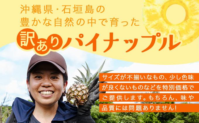 KABIRA パイナップル 訳あり ご家庭用 約3kg 4種のパインからお任せ ＜2026年6月から発送＞ | 石垣 パイン  MF-002